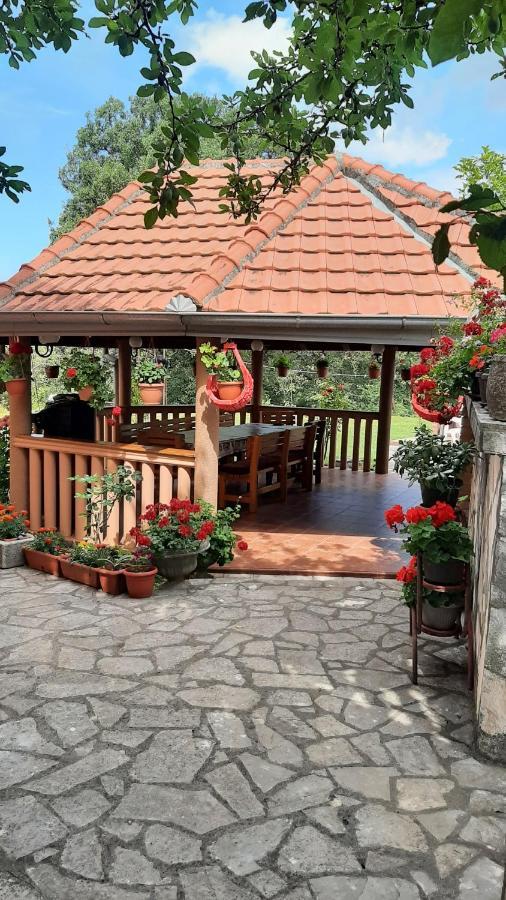 Apartmani "Dukic" Pelinovo Экстерьер фото