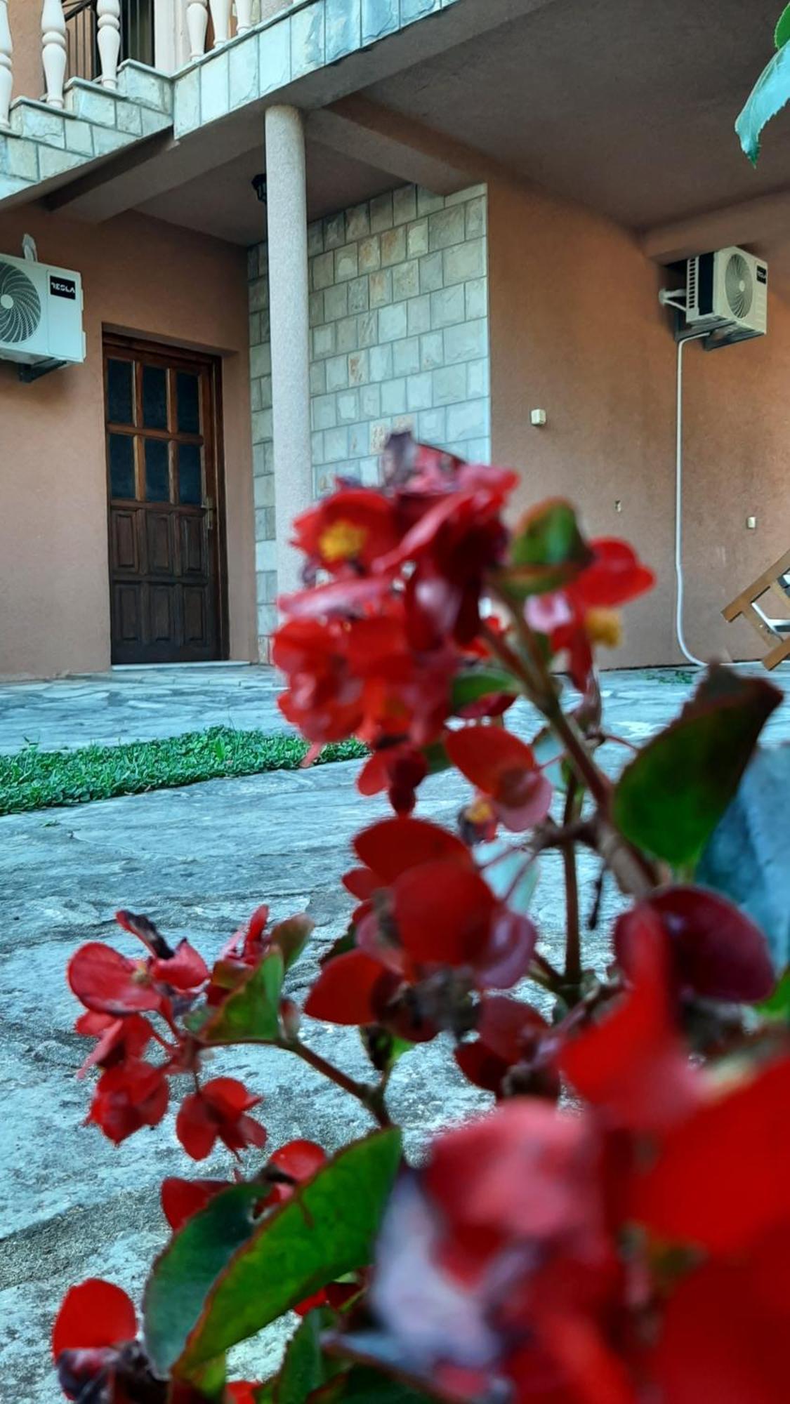 Apartmani "Dukic" Pelinovo Номер фото