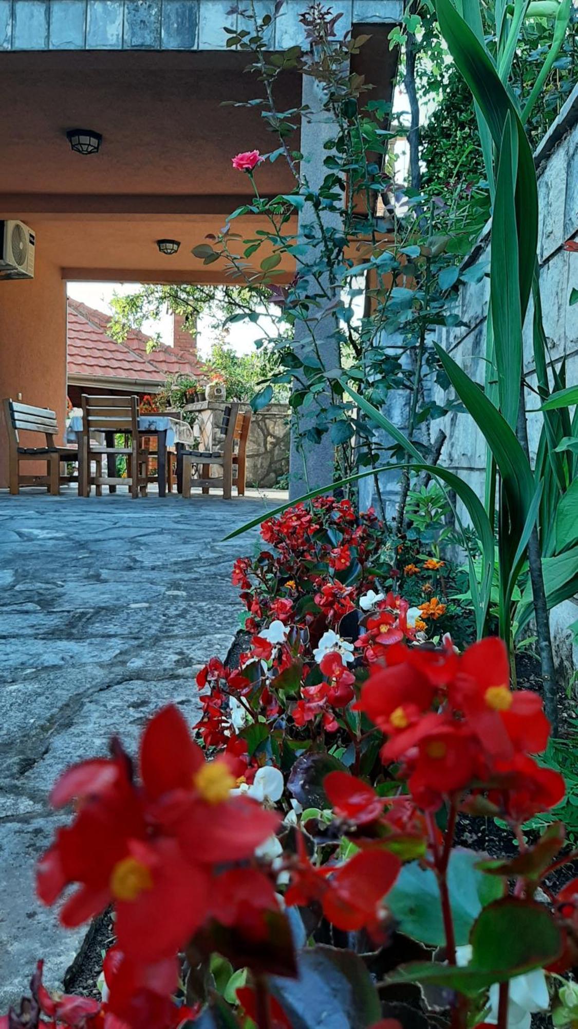 Apartmani "Dukic" Pelinovo Номер фото