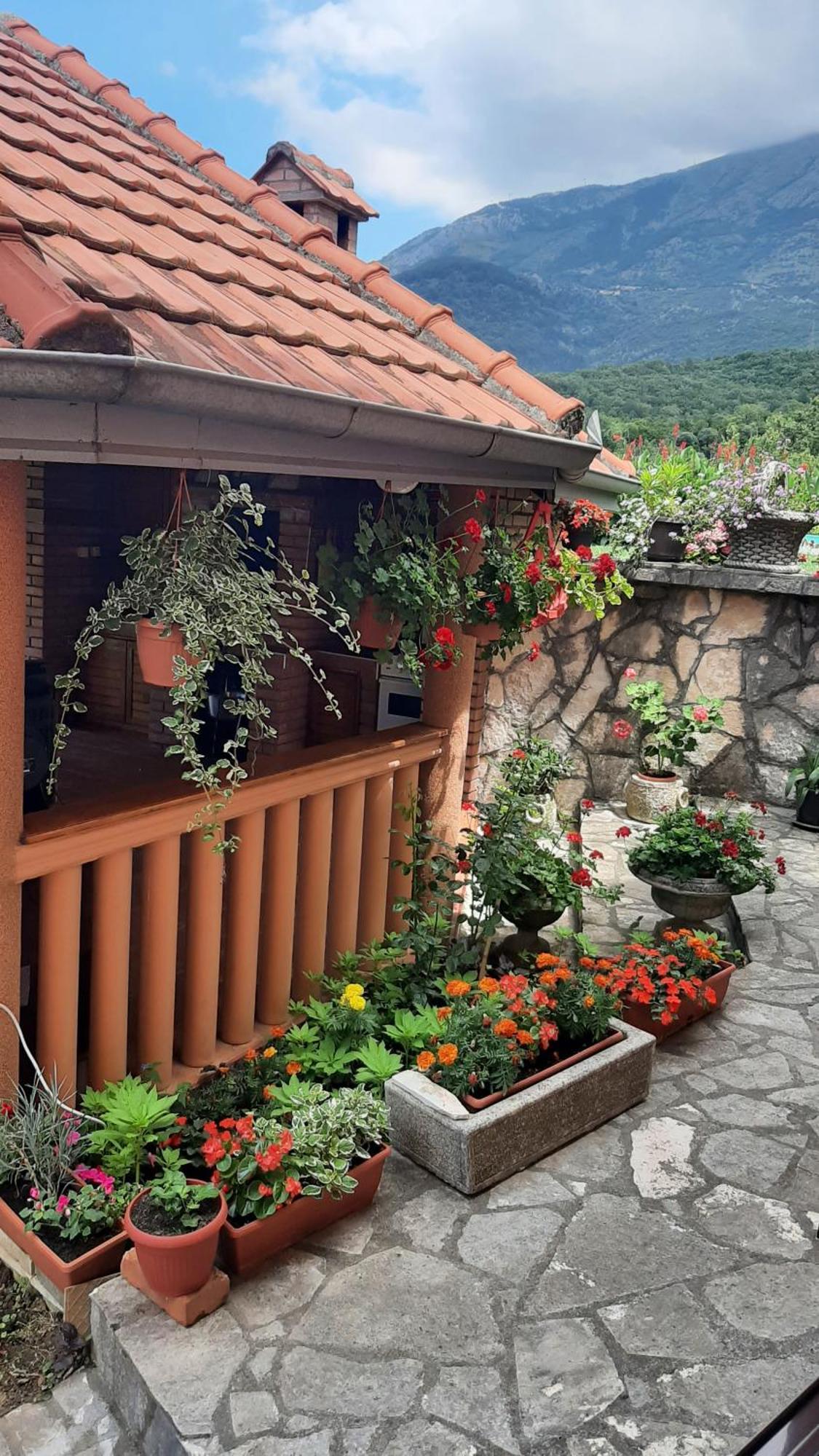 Apartmani "Dukic" Pelinovo Номер фото