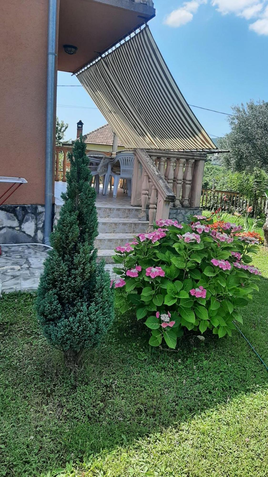 Apartmani "Dukic" Pelinovo Номер фото